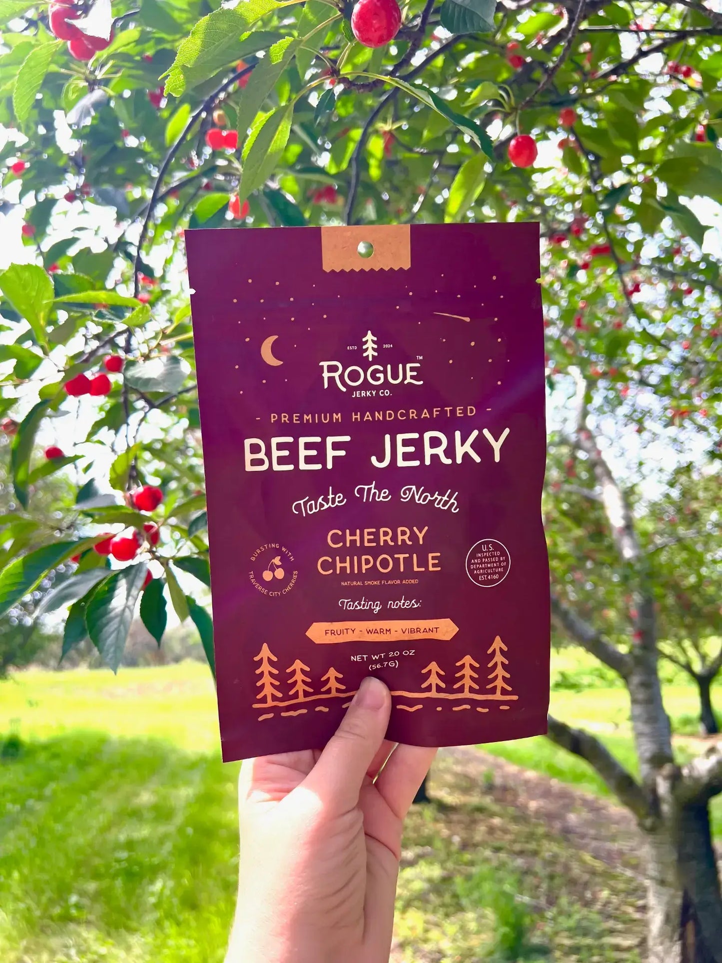 Rogue Jerky- assorted flavors