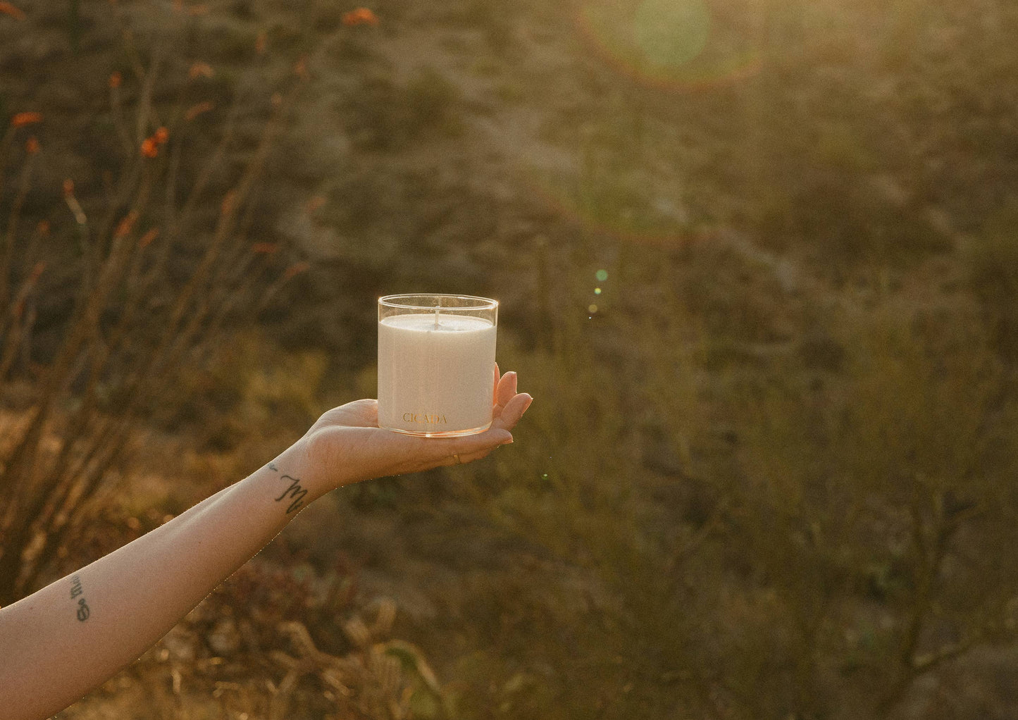 Cicada No. 01 Summer Storms Candle