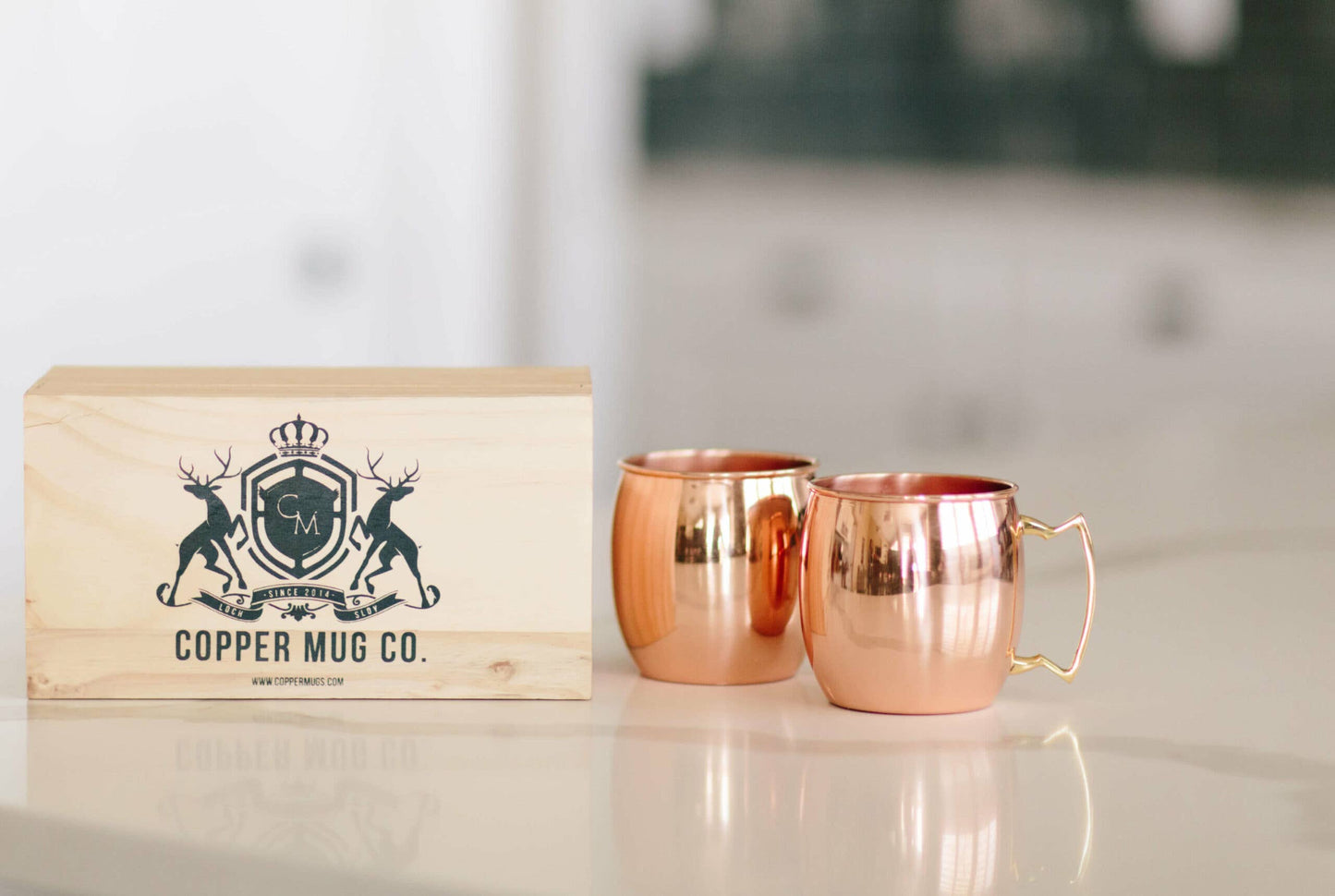 Moscow Mule Copper Mugs Gift Set of Two in Wooden Box: Barrel Hammered