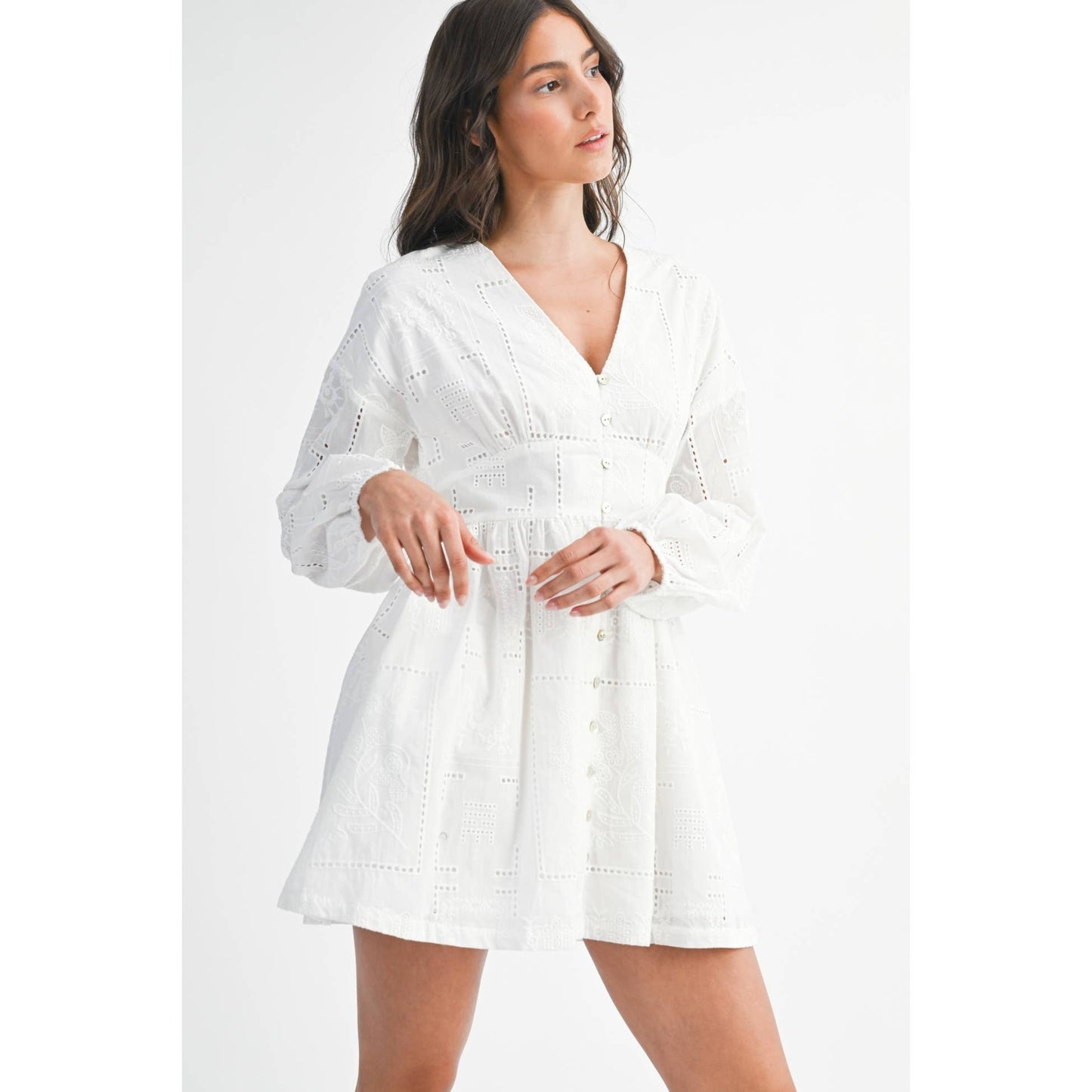 Embroidered Button Down Long Sleeve Mini Dress