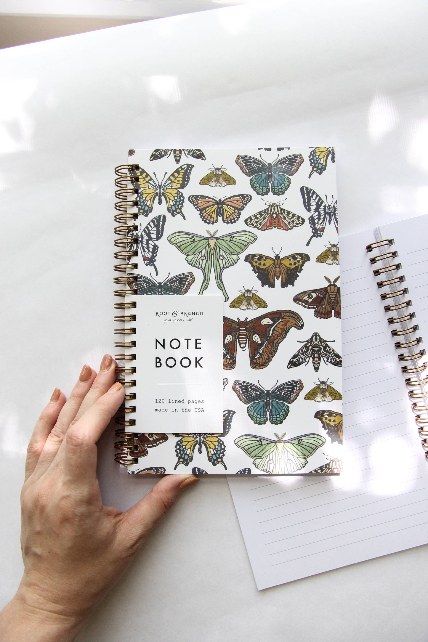 Butterfly & Moth Spiral Notebook