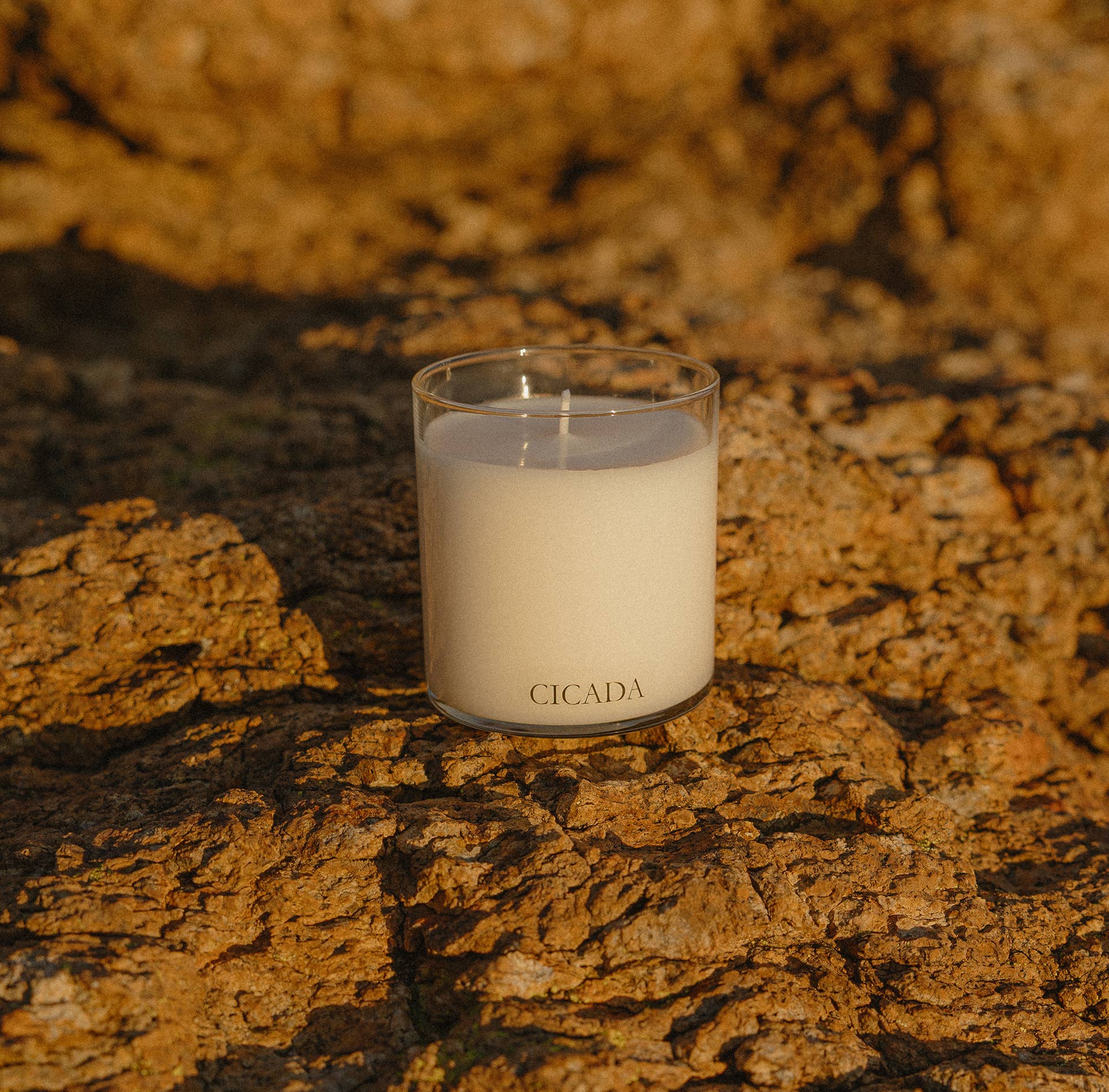 Candle labeled 'CICADA' on a textured stone surface
