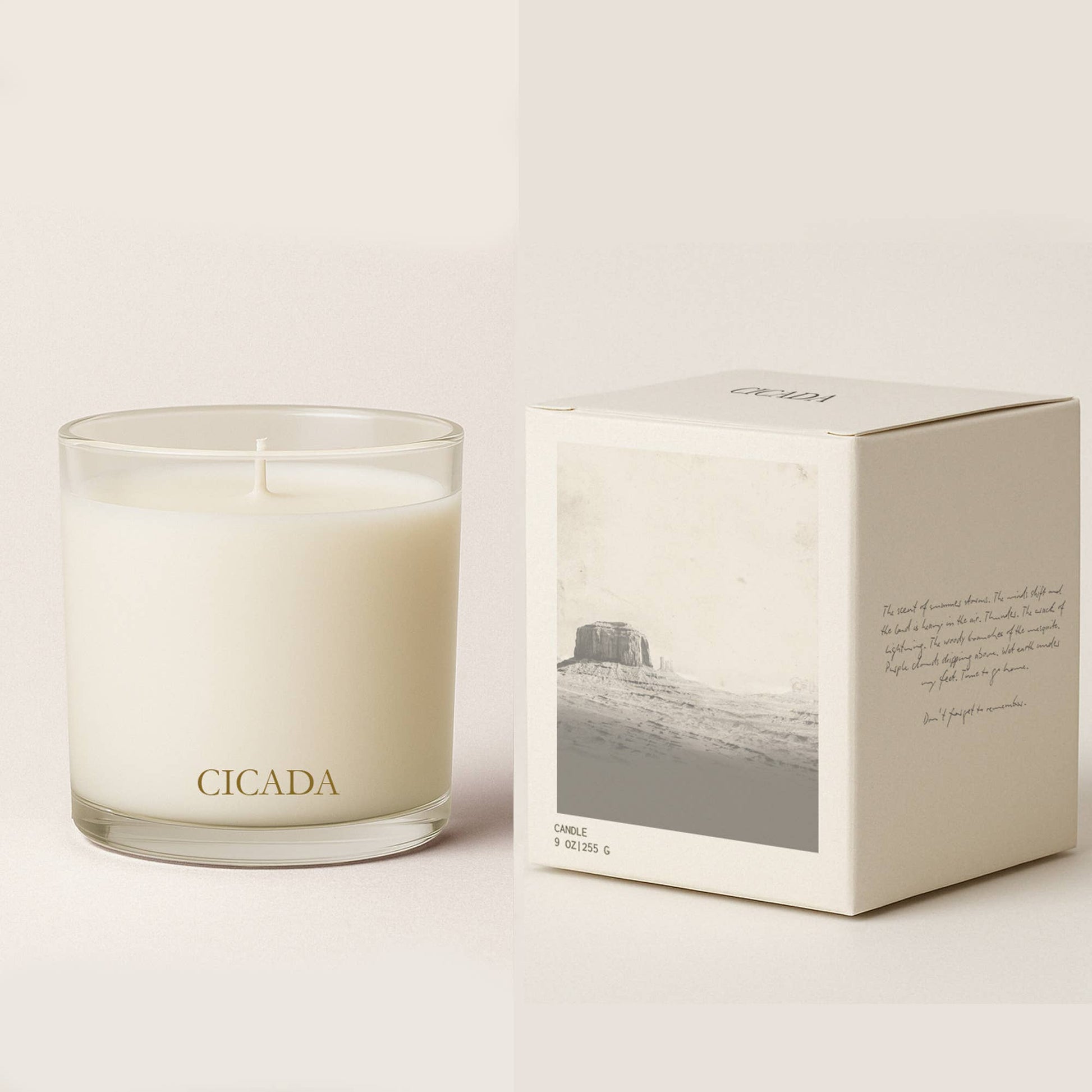 Candle with 'CICADA' branding next to its packaging on a light background