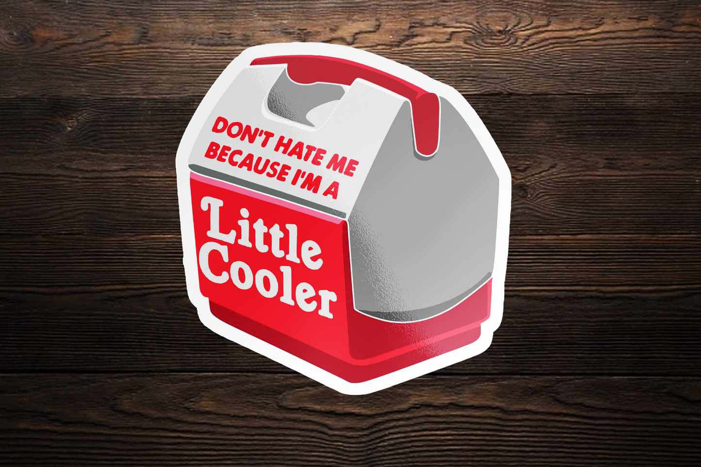 Don't Hate Me I'm A Little Cooler Funny Vinyl Sticker