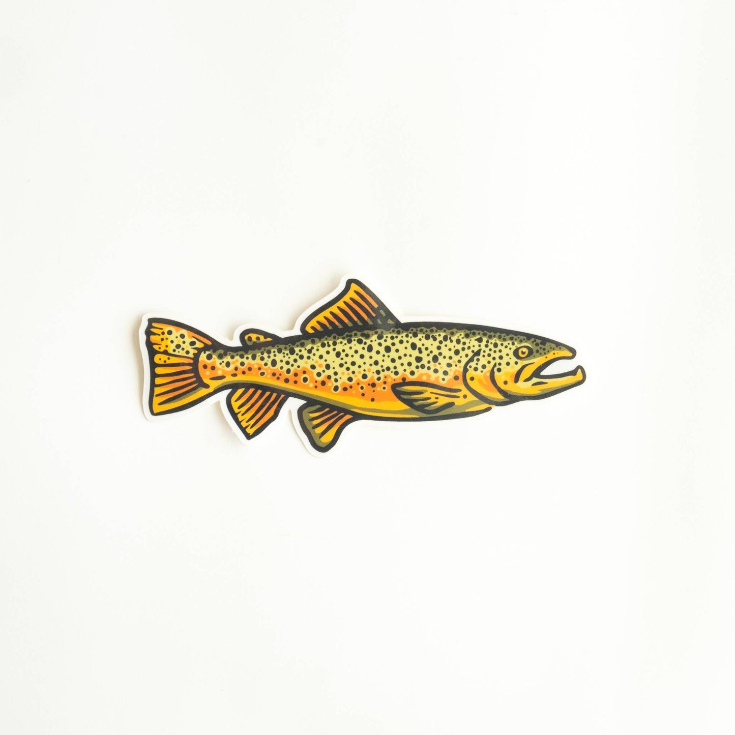 Brown Trout Fish Vinyl Sticker