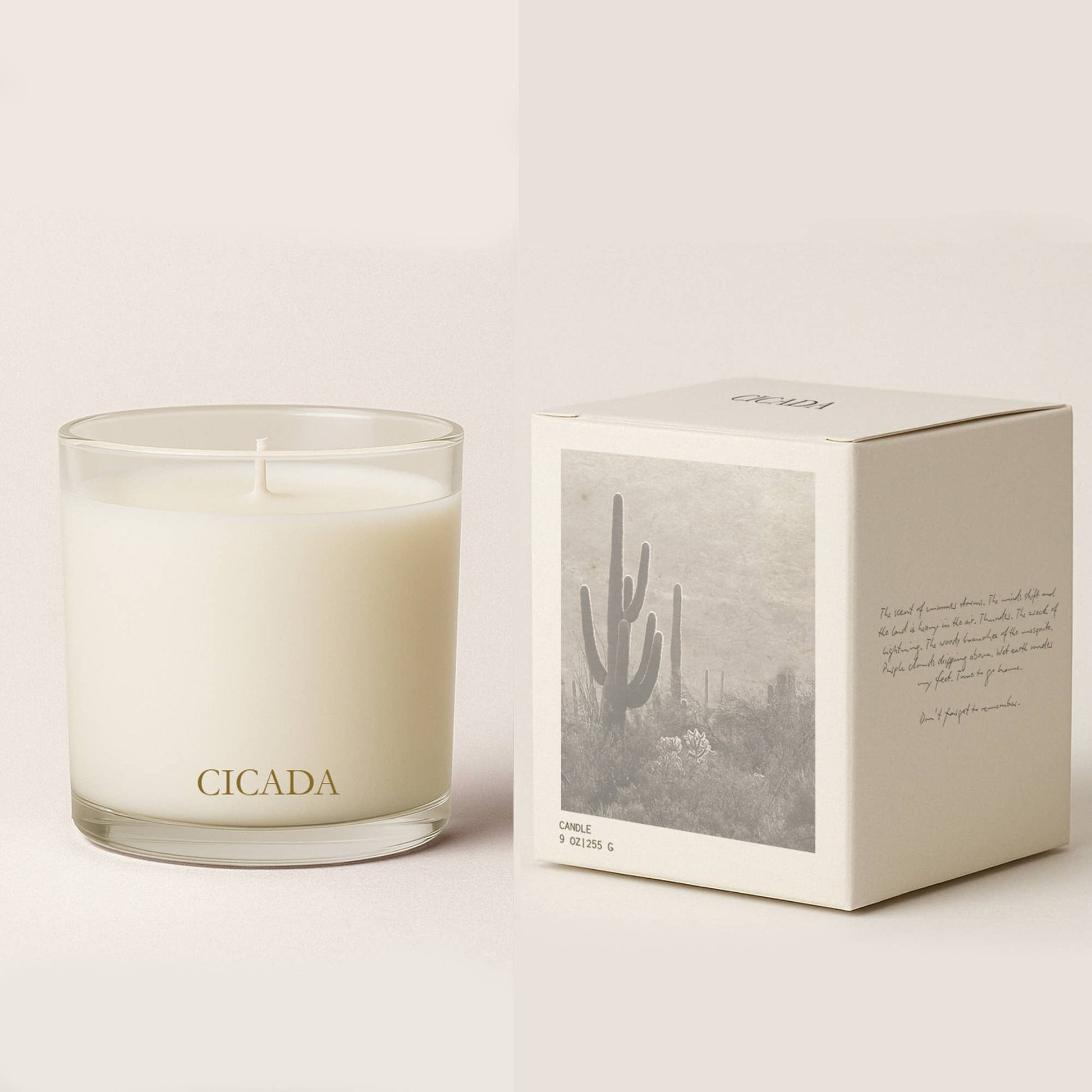 Candle with 'CICADA' branding next to its packaging on a light background