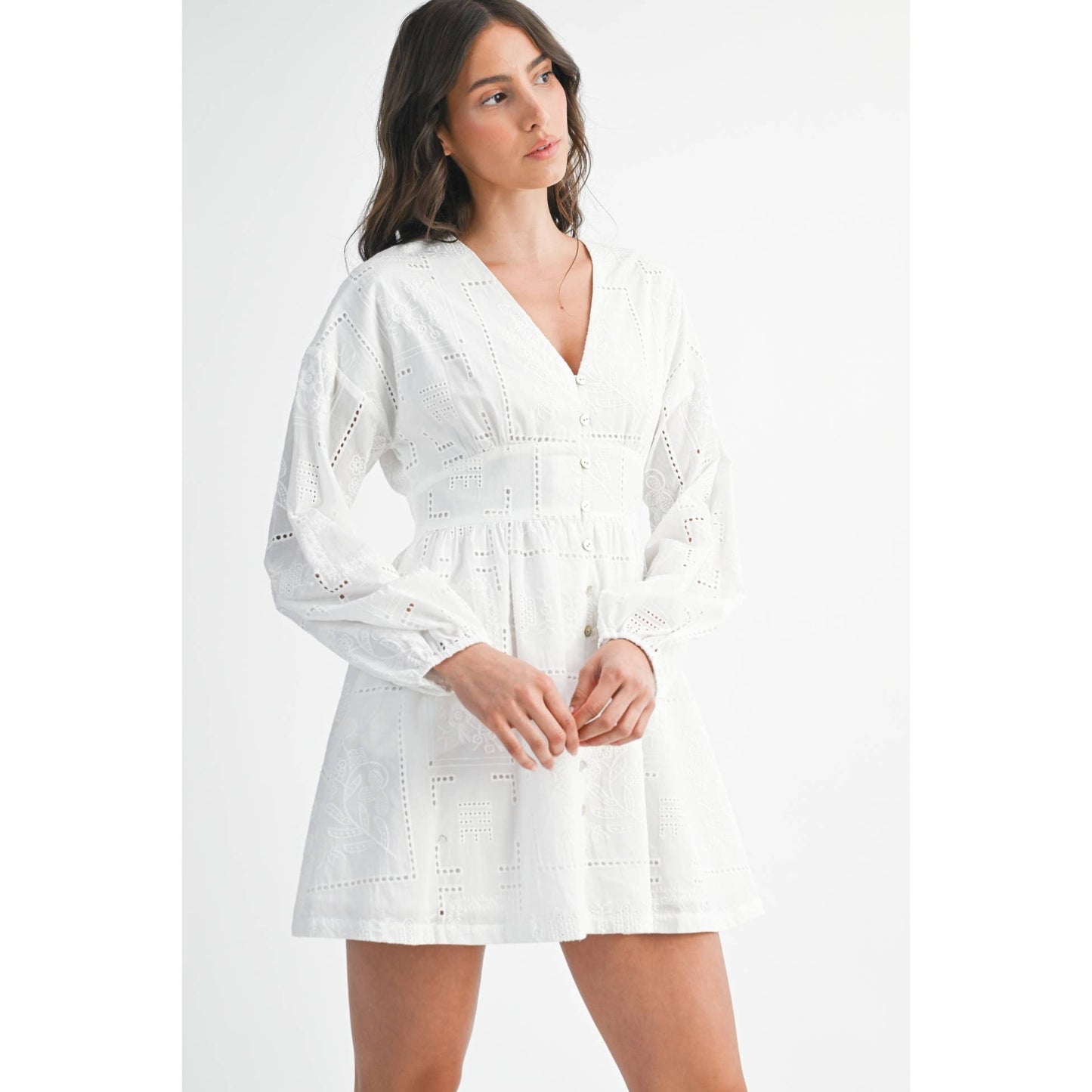 Embroidered Button Down Long Sleeve Mini Dress
