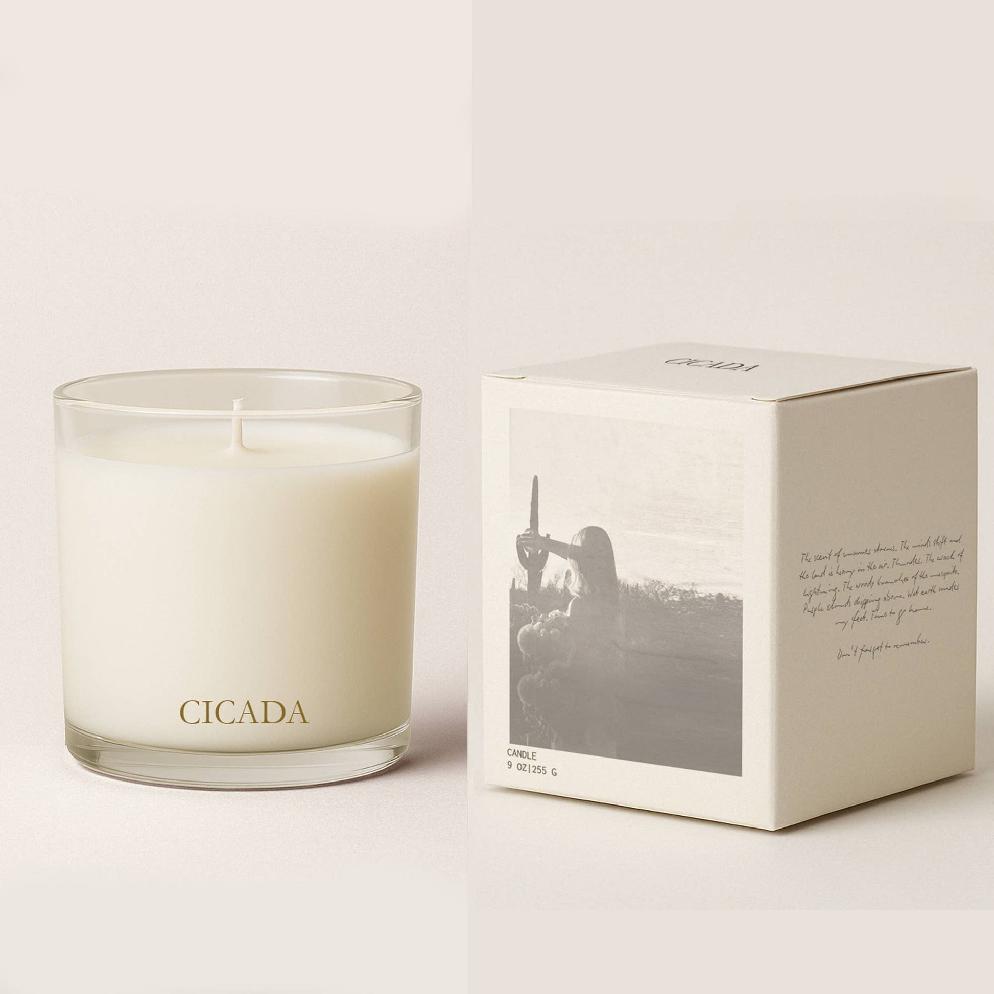 Candle with 'CICADA' branding next to its packaging on a light background
